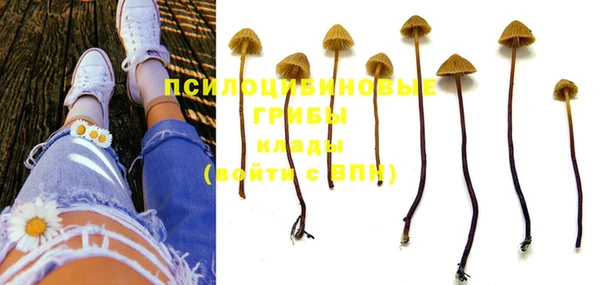 a pvp Тихвин